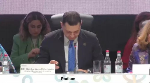Yadav Presents India's National Statement at CBD COP17 in Yerevan