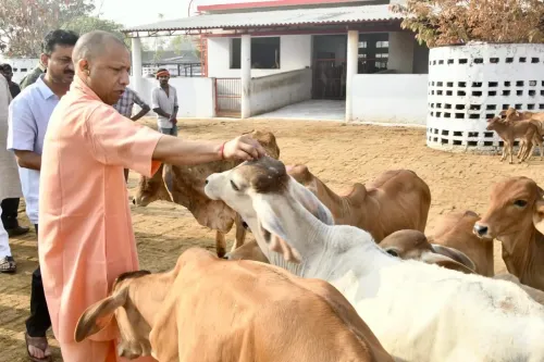 उत्तर प्रदेश ने दुग्ध उत्पादन में 40%25 वृद्धि, देश में बना नंबर वन