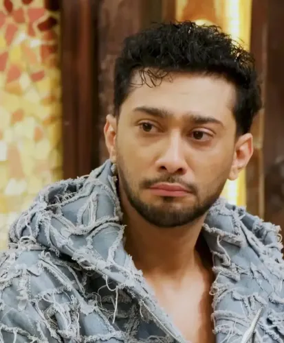 Zaid Darbar apologises to Gauahar Khan over Kushal Tandon's remark on 'Alliance'