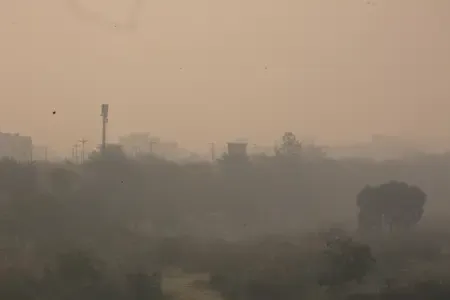 Smog chokes Delhi-NCR as AQI breaches 400 mark in several places