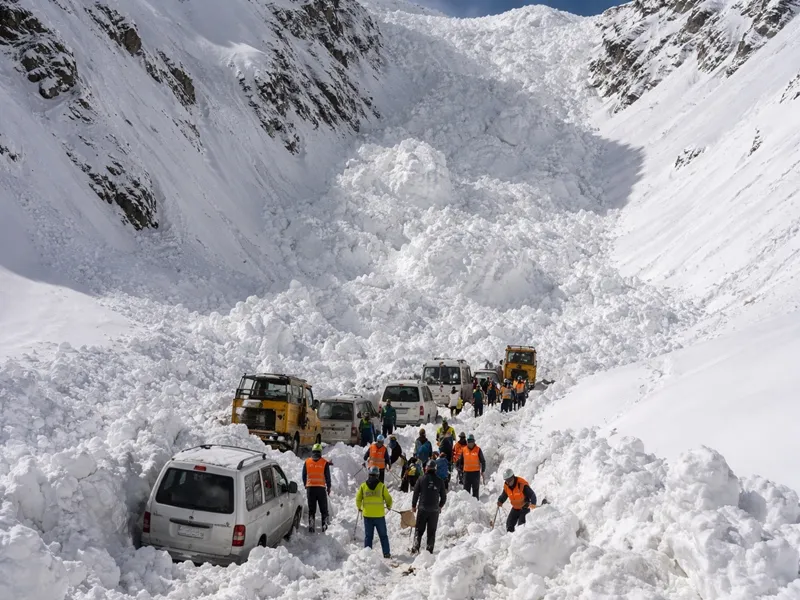 Significant Snow Avalanche Hits Zojila Pass, Traps Vehicles Without Casualties
