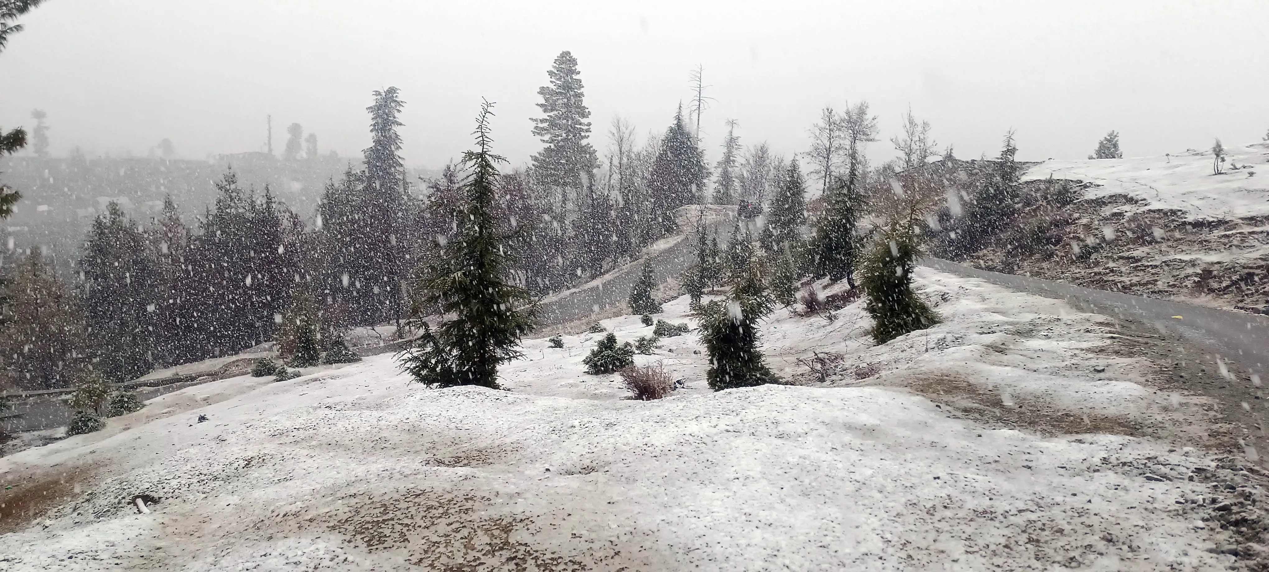 Kashmir Sees Snowfall in Mountains, Rain in Lowlands