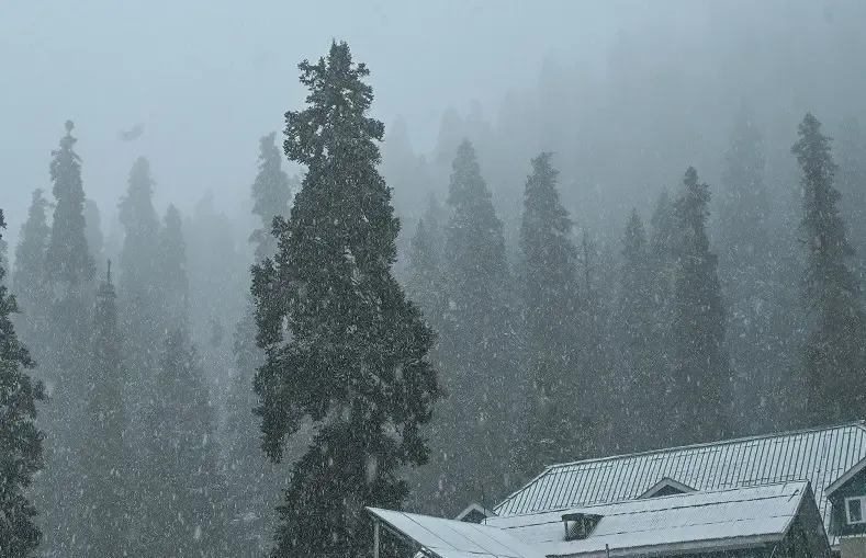 Heavy Snowfall in Higher Regions of Kashmir as Rain Hits J&K