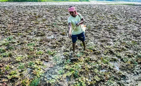 Socially backward people in Bengal have limited access to institutional loans: Bankers’ study