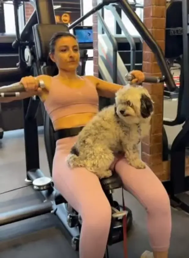 Soha Ali Khan's Gym Buddy Oreo Is Not Pulling His Weight!