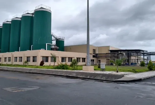 Som Distilleries Q1 FY27 net profit crashes 96% as revenue halves