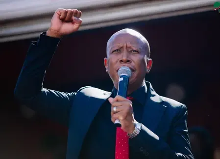 Julius Malema, Prominent South African Politician, Sentenced to Five Years for Firearm Offenses