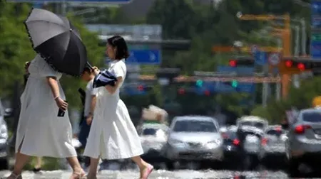 South Korea heat wave to persist through next week, Daegu to hit 39°C