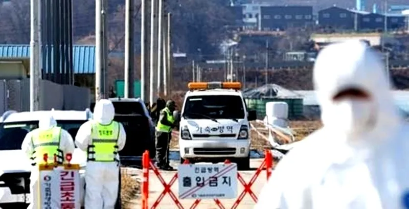 South Korea Sees 29th Case of Highly Pathogenic Avian Influenza
