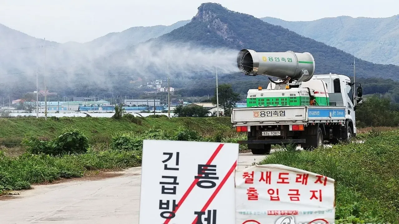 New Case of Highly Pathogenic Avian Influenza Confirmed at Egg Farm in Central South Korea