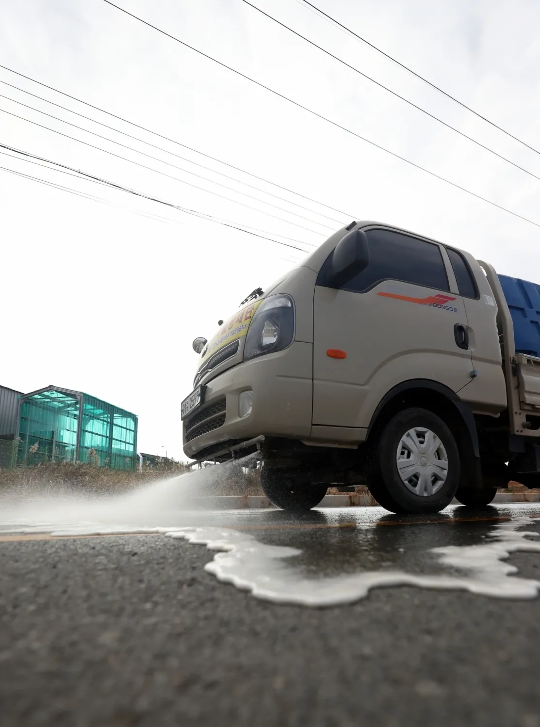 Have Three New Bird Flu Cases Emerged at Poultry Farms in South Korea?