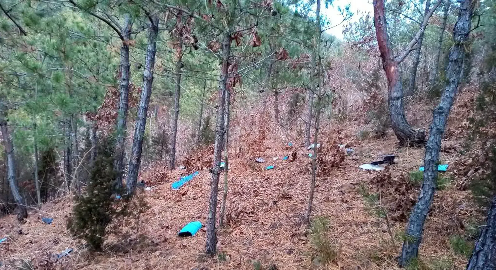 Did North Korea's Drone Infiltration Claims Get Refuted by South Korea's Defence Minister?