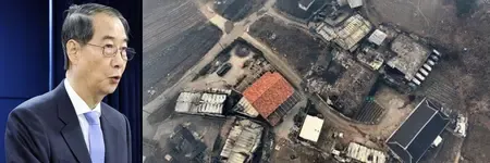 Additional Areas in South Korea Declared Special Disaster Zones After Devastating Wildfires