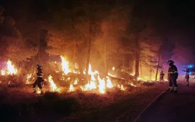 Spain wildfire crisis: 91,000 evacuated as Madrid, Avila blaze hits 45,000 hectares
