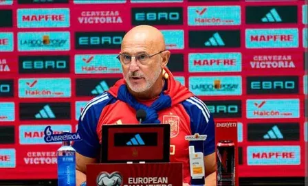 Spain coach De la Fuente: World Cup 2026 squad already decided