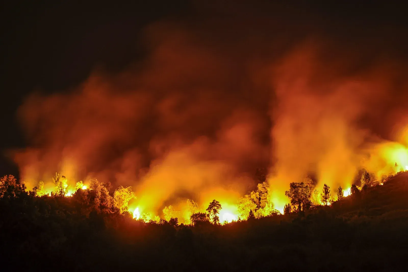 Spain wildfire crisis: National emergency ends in Madrid, Avila as 130,000 hectares burn