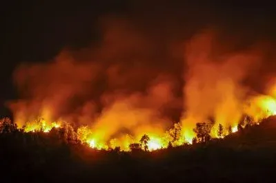 Spain wildfire crisis: National emergency ends in Madrid, Avila as 130,000 hectares burn