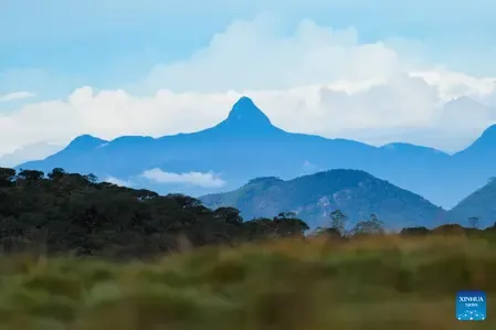 How is Sri Lanka Strengthening Forest and Wildlife Protection?