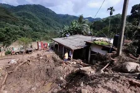 Will Sri Lanka Restore Damaged Elephant Fences Within a Week?