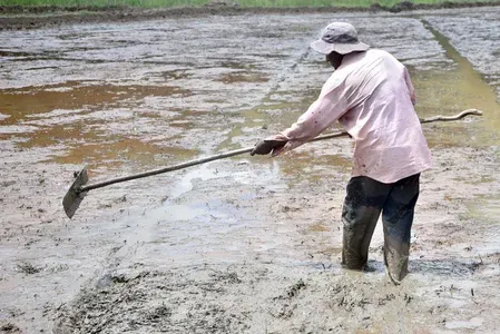 Sri Lanka urges farmers to conserve water ahead of El Nino threat