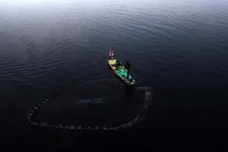 Sri Lankan Navy Detains 11 Tamil Nadu Fishermen, Confiscates Fishing Vessel