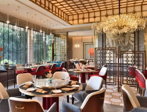 Why Did a Startup Founder Criticize the Taj Hotel for Teaching Her How to Sit?