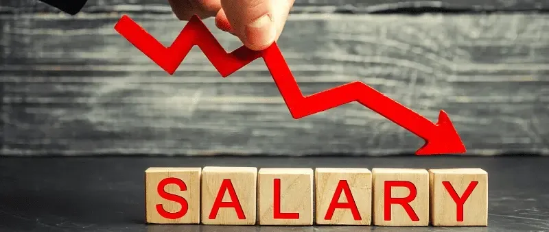 Salaries of Startup Founders in India Plummet Over 25% in FY24: Report