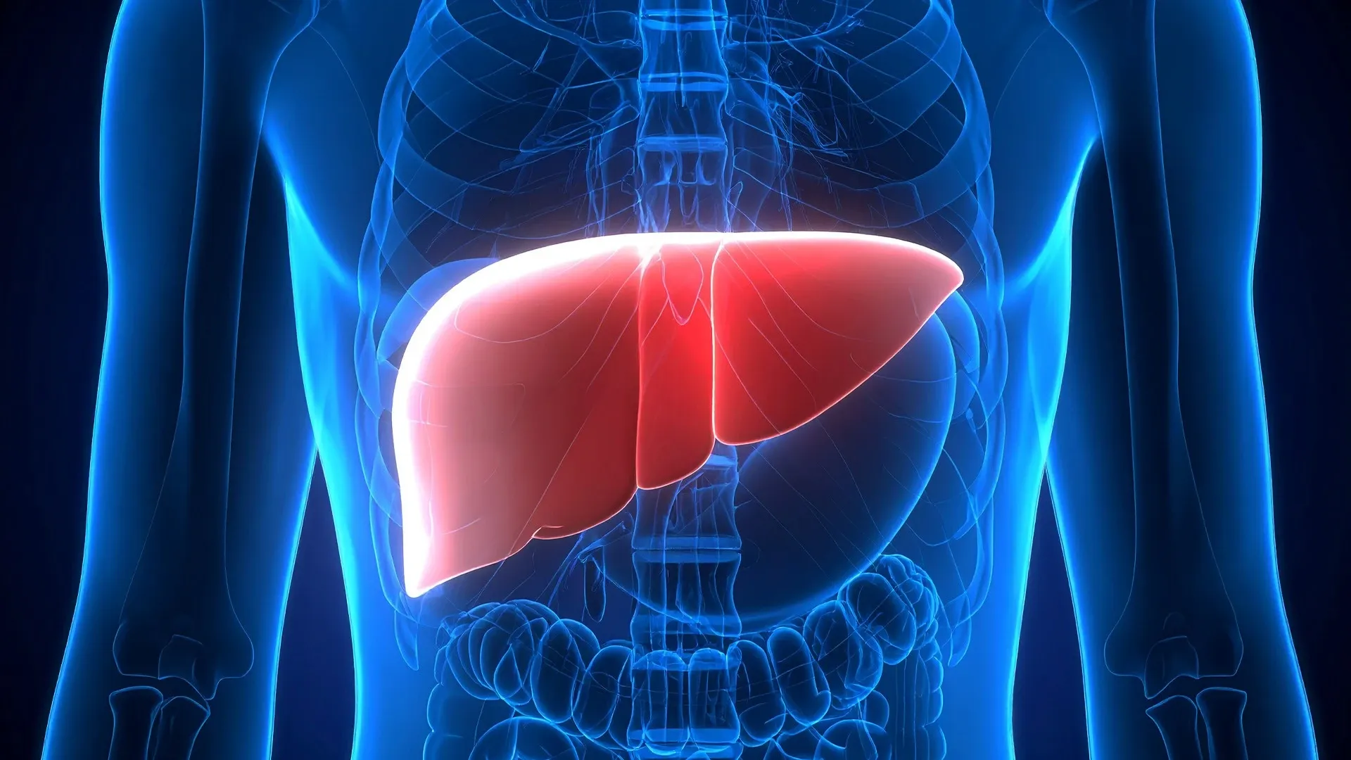 Should States Implement Regular Screening to Combat Rising Fatty Liver Disease?