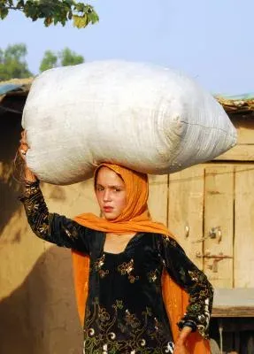 Child marriage in Pakistan's Punjab: 15% of girls wed before 18, rights group warns