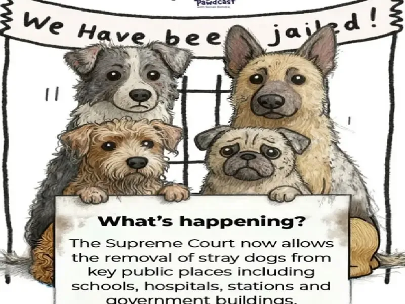 क्या स्ट्रीट डॉग्स पर सुप्रीम कोर्ट के फैसले के बाद नकारात्मक प्रभाव होंगे? : सोनाली बेंद्रे