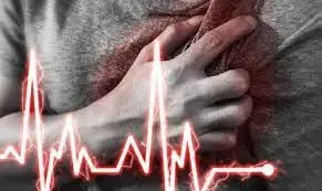 Study shows fatty muscles raise heart disease risk regardless of BMI