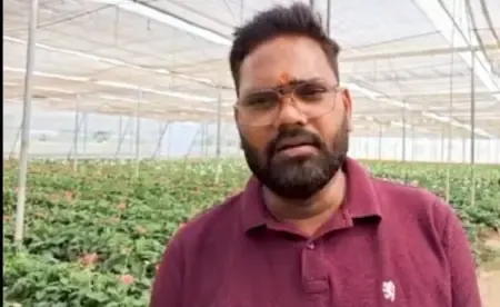 नीरज पटेल की सफलता: सब्सिडी से हुई जरबेरा की खेती में लाखों की कमाई
