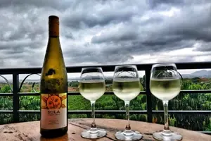 Has Sula Vineyards' Revenue Declined by 7.9% in Q1?