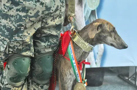 Has Surveillance Increased at the Indo-Pak Border in Barmer Following the Capture of a Pakistani Intruder?