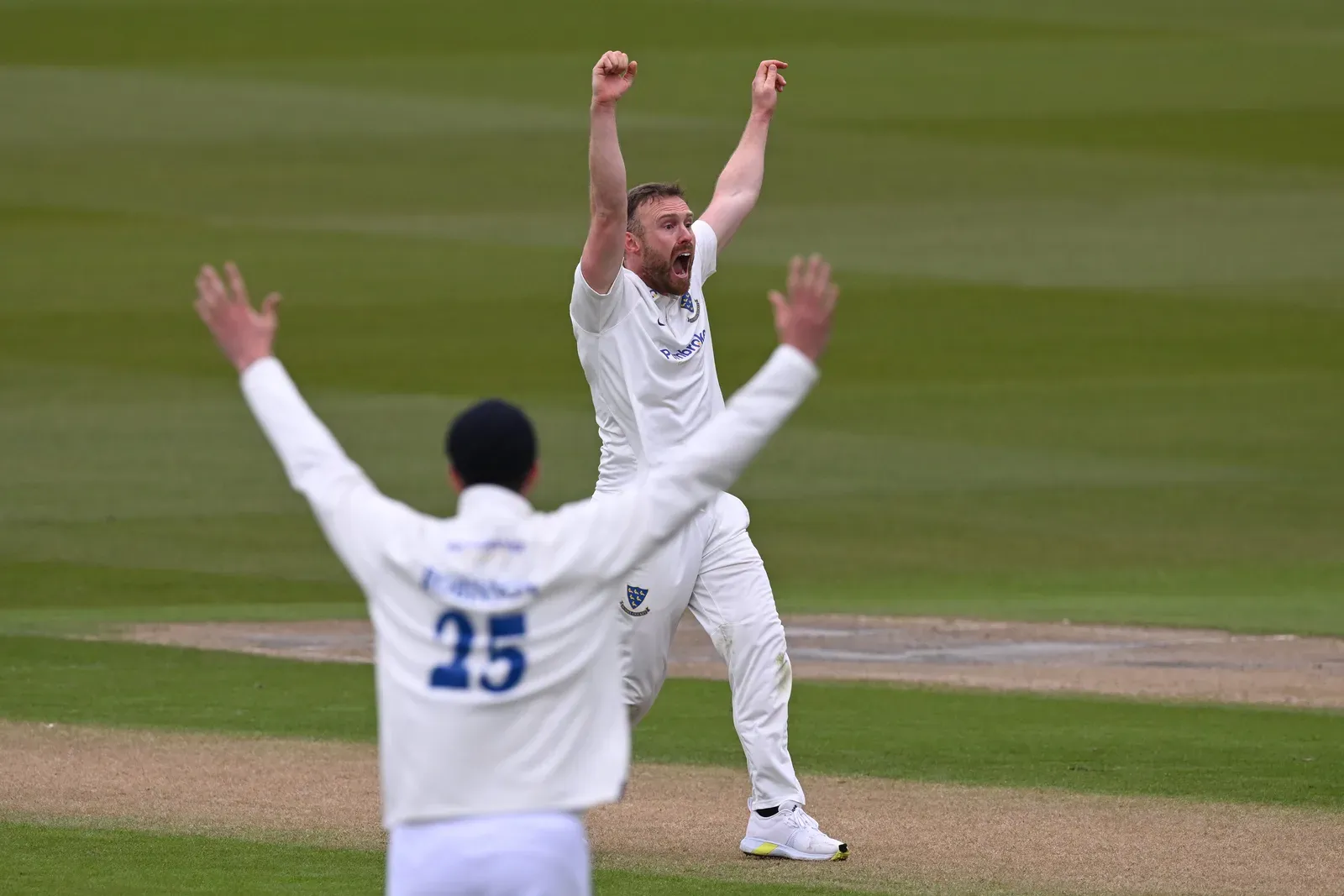 Danny Lamb retires at 30: Sussex all-rounder ends career after neck injury