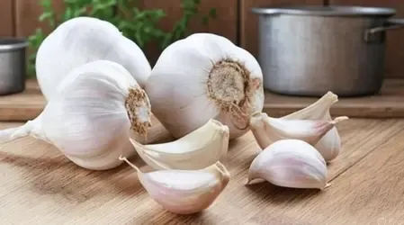 स्वाद ही नहीं सेहत के लिए लाजवाब है लहसुन, आयुर्वेद के जानिए फायदे