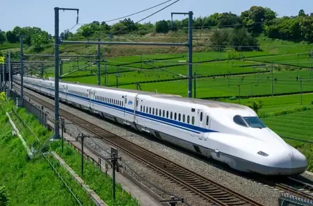 Swan on tracks briefly halts Japan's iconic bullet train services