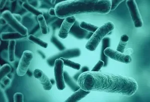 Swimming in lakes with still waters can cause bacterial pneumonia: Study