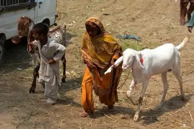 Unmasking Gender-Based Violence: The Role of Patriarchy in Pakistan's Justice System