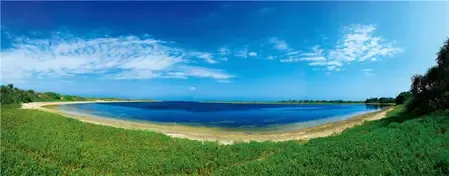 ताइवान ने बीजिंग पर लगाया क्षेत्रीय शांति भंग करने का आरोप, बोला- 'चीनी ड्रोन ने भरी उकसावे वाली उड़ान'