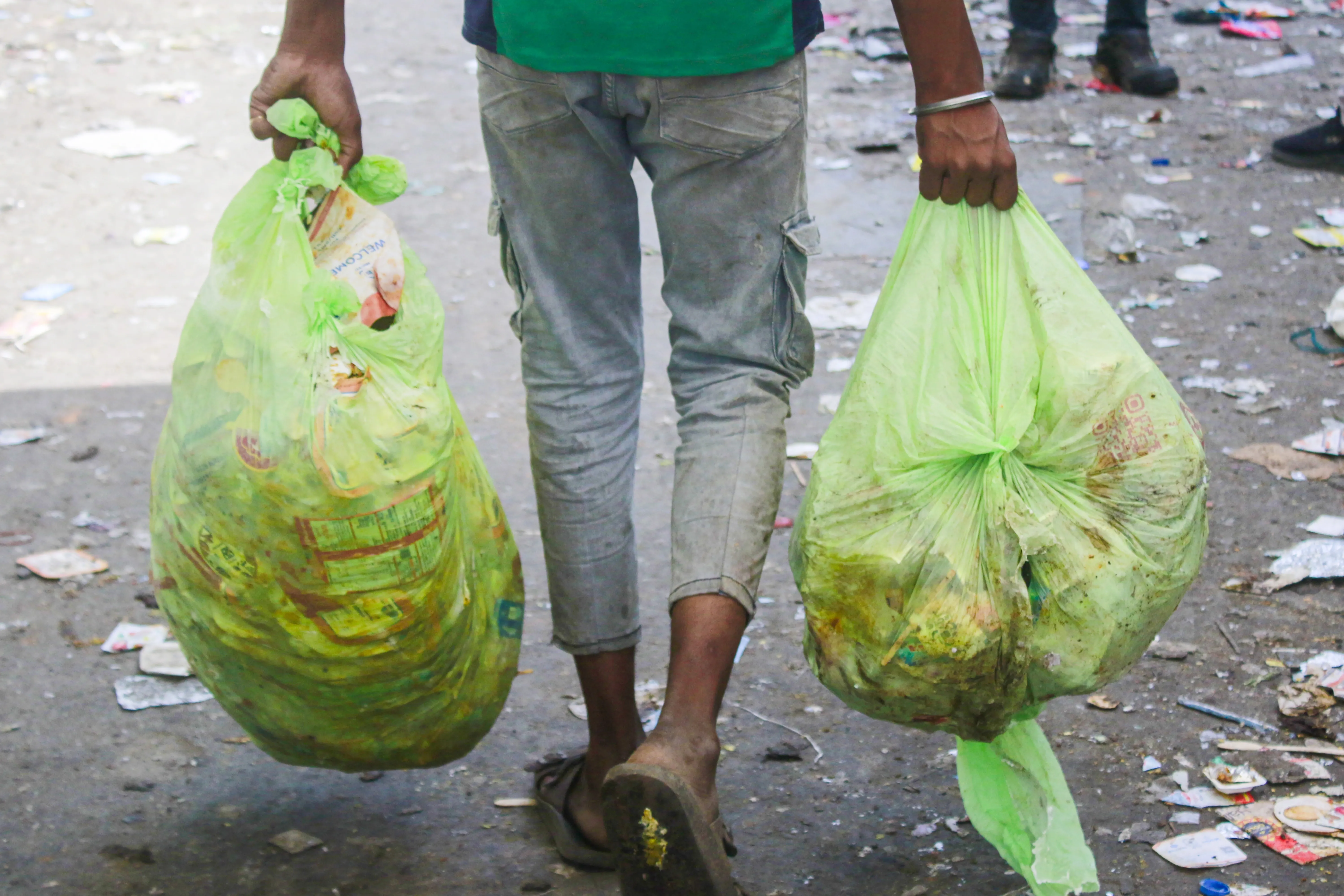 How is Taj City Transforming a Landfill into a Miyawaki Forest?