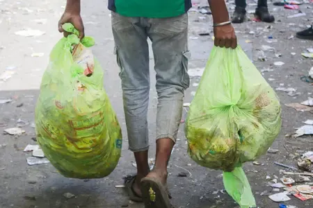 How is Taj City Transforming a Landfill into a Miyawaki Forest?