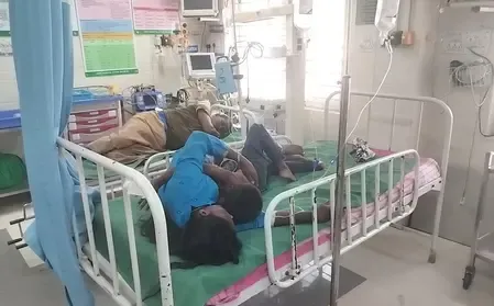 तमिलनाडु: बर्थडे पार्टी के दौरान ततैयों के हमले से एक ही परिवार के 12 घायल, अस्पताल में भर्ती