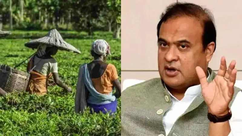 Attabarie's Tea from Assam Achieves Global Acclaim at Las Vegas Championship: CM Sarma