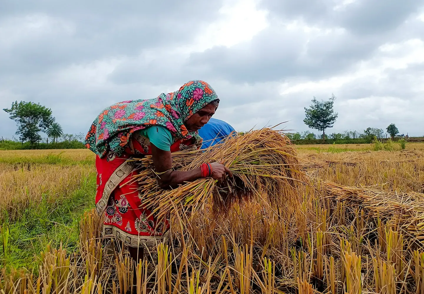 Cyclone Arnab brings rain to Rajasthan, temperatures drop 3°C