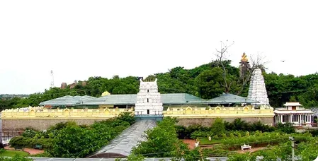 Basar temple theft: Silver crown, hundi stolen from Gnana Saraswathi premises