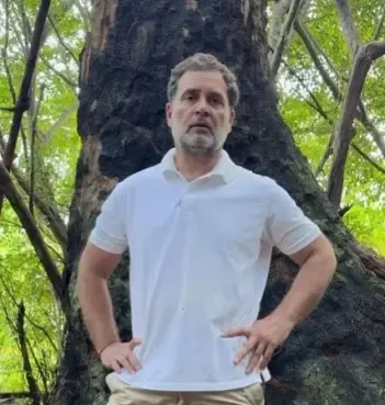 Rahul Gandhi slams Great Nicobar project: 'Destruction, not development'