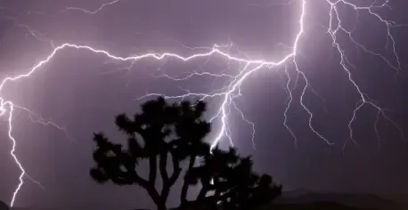 What Happened in Raghopur Village? Lightning Strike Claims Three Lives
