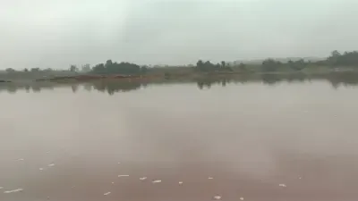 How Did Three Siblings Drown While Bathing in a Pond in MP?