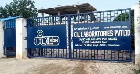 3 workers dead, 2 critical in chemical leak at Yadgir pharma unit